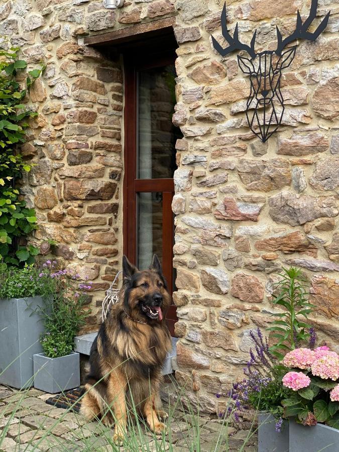 Le Brâme du Cerf Vila Theux Exterior foto